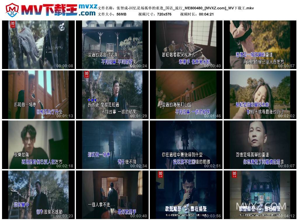 张智成-回忆是场孤单的重逢_国语_流行_ME800480